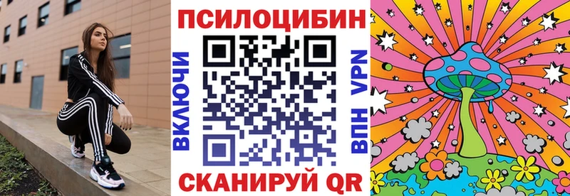 Купить закладки  Ужур  Галлюциногенные грибы прущие грибы 